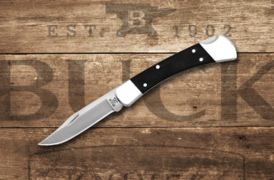 Buck 110 Folding Hunter Pro