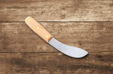 Dexter Russell Traditional Skinner